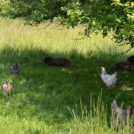 Les De Souverain Moulin Bed & Breakfast Pernes-les-Boulogne