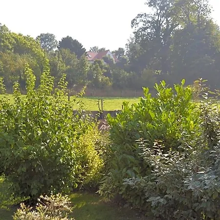 Les De Souverain Moulin Pernes-les-Boulogne