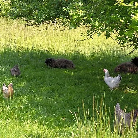 Frühstückspension Les De Souverain Moulin Pernes-les-Boulogne
